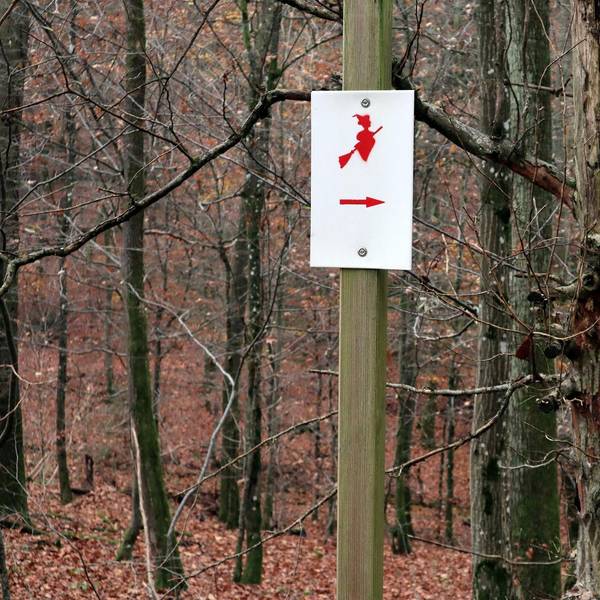 Wanderung Ulmen Symbol