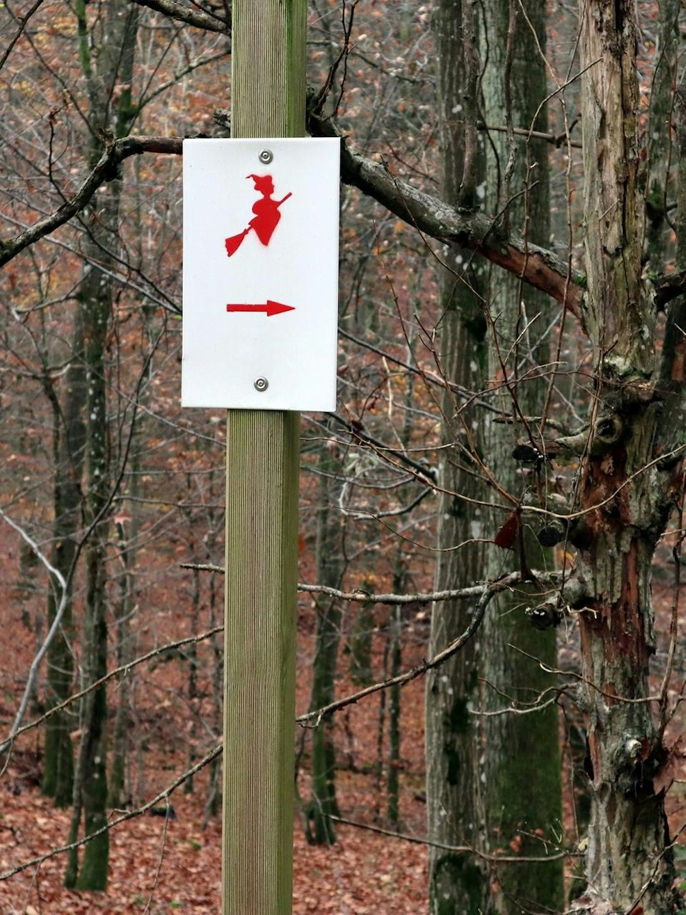 Wanderung Ulmen Symbol