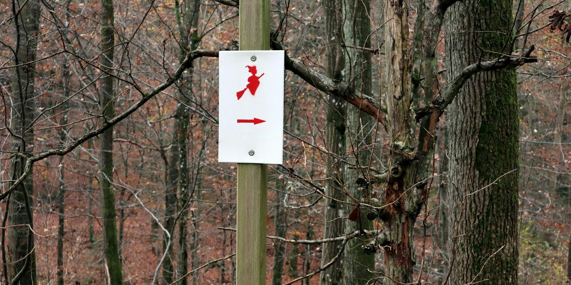 Wanderung Ulmen Symbol