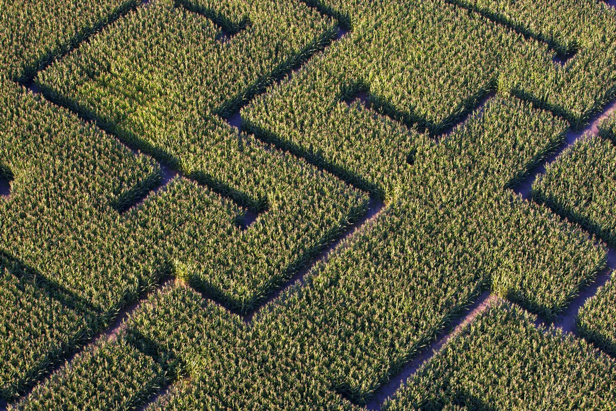 Mai Irrgarten imago Blickwinkel 59439050h