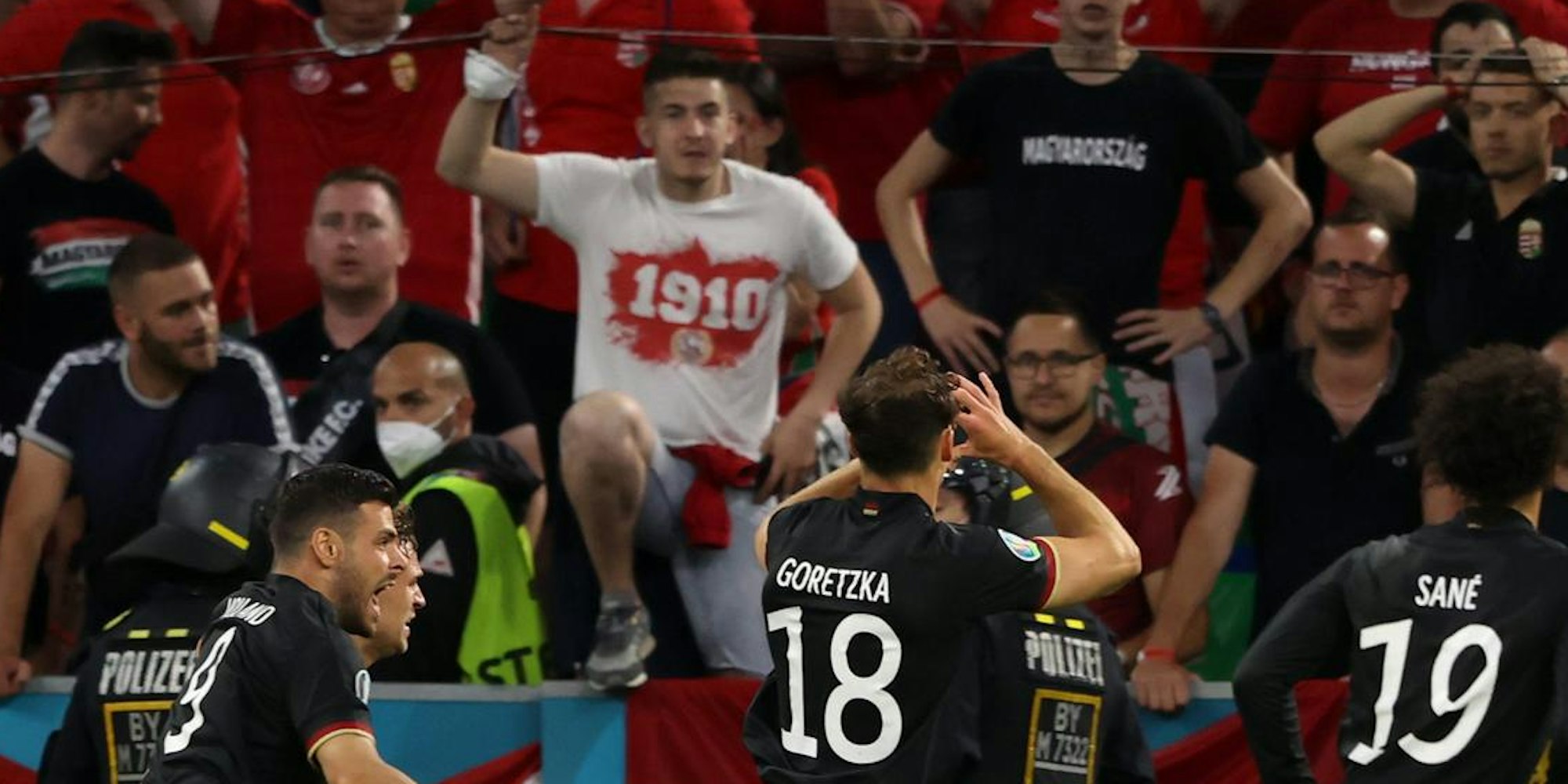 goretzka torjubel
