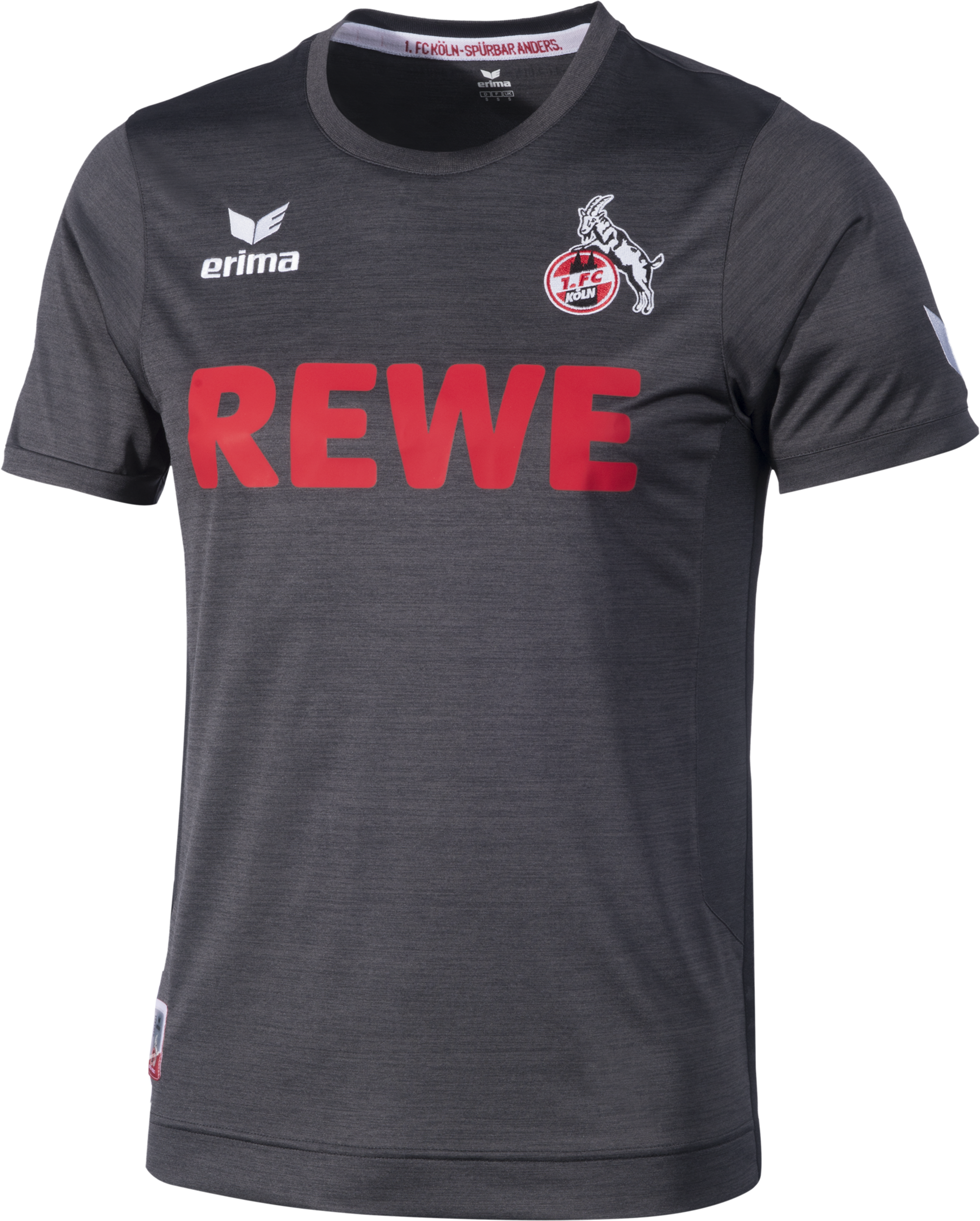 PIC FC Trikot Ausweich