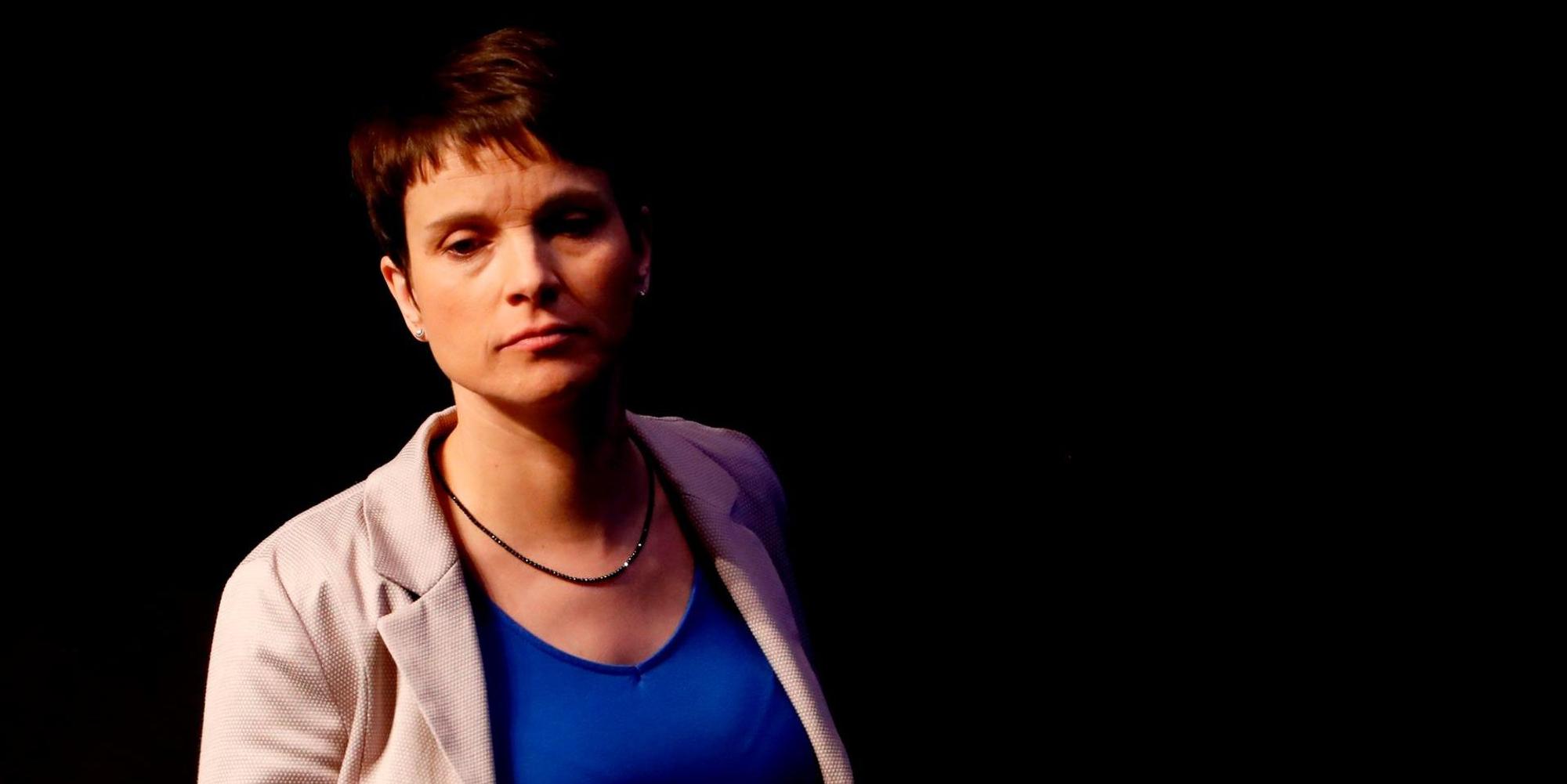 Petry afd parteitag bilanz