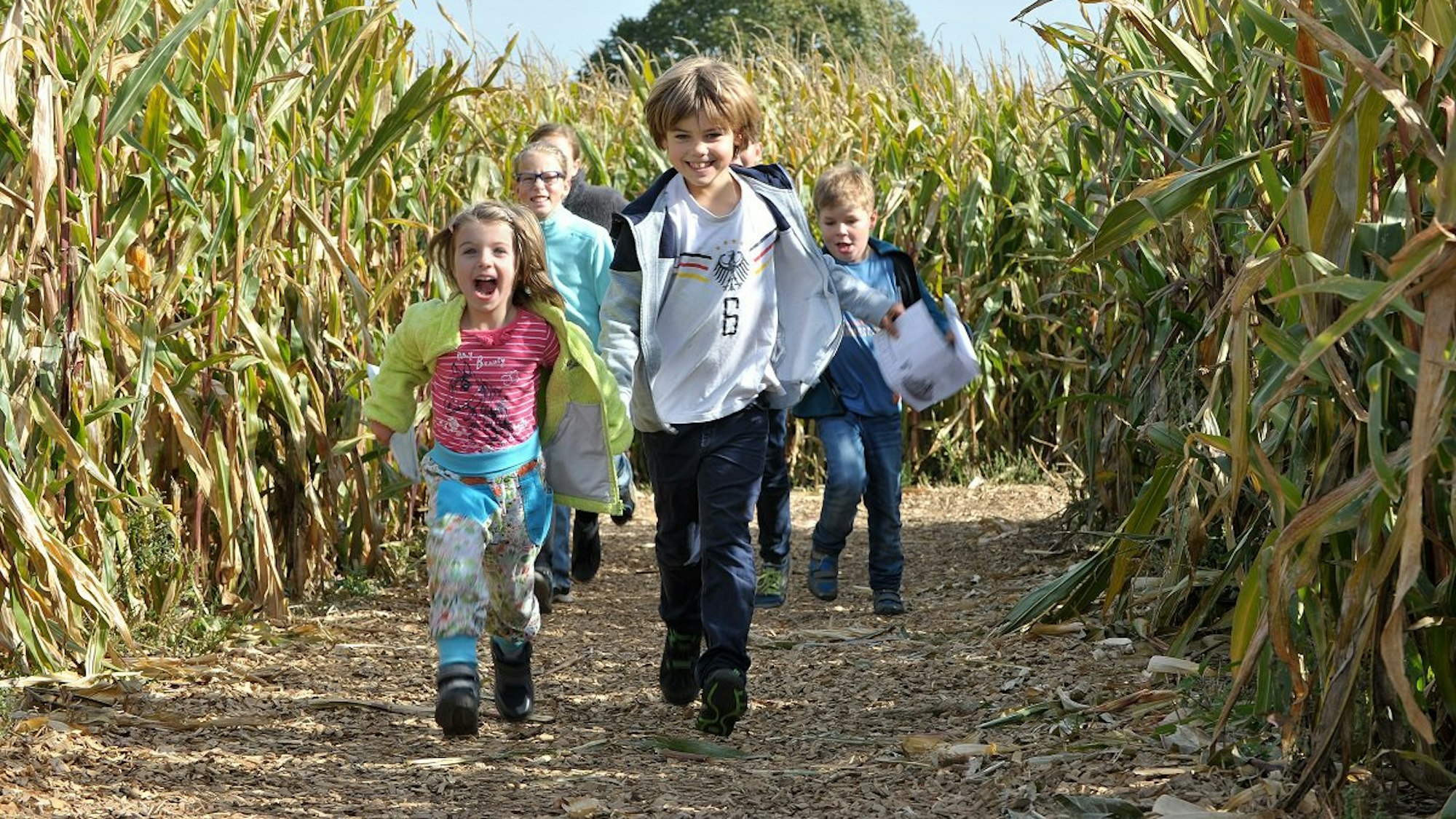 Kinder im Maislabyrinth im Bubenheimer Spieleland.