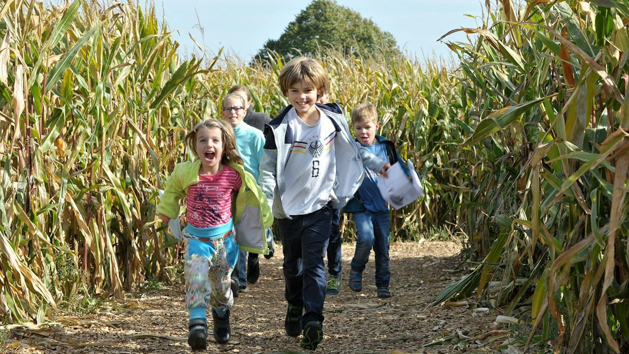 Maislabyrinth im Bubenheimer Spieleland