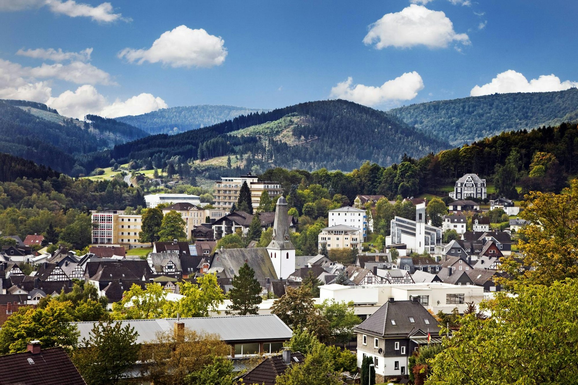 Mythenwald_ Bad-Laasphe