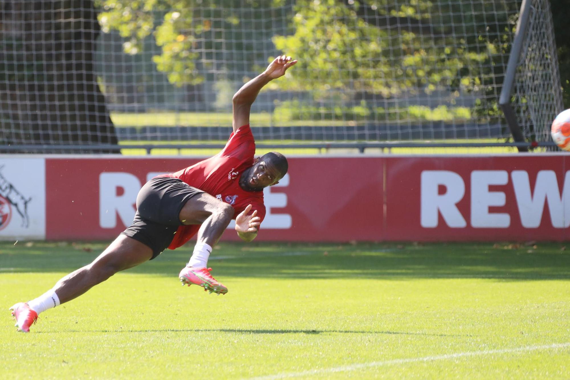Modeste_Seitfall