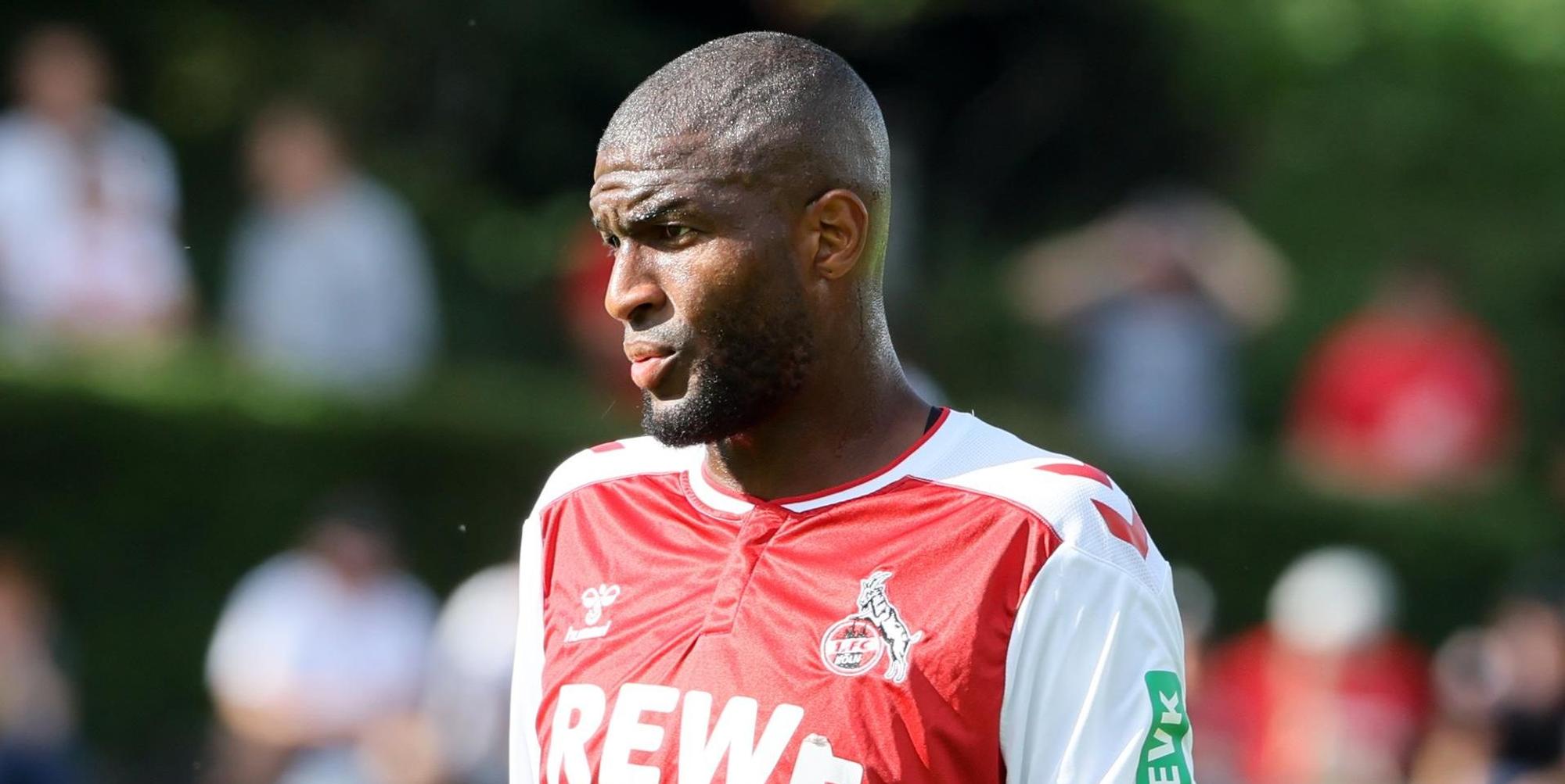 Modeste Training