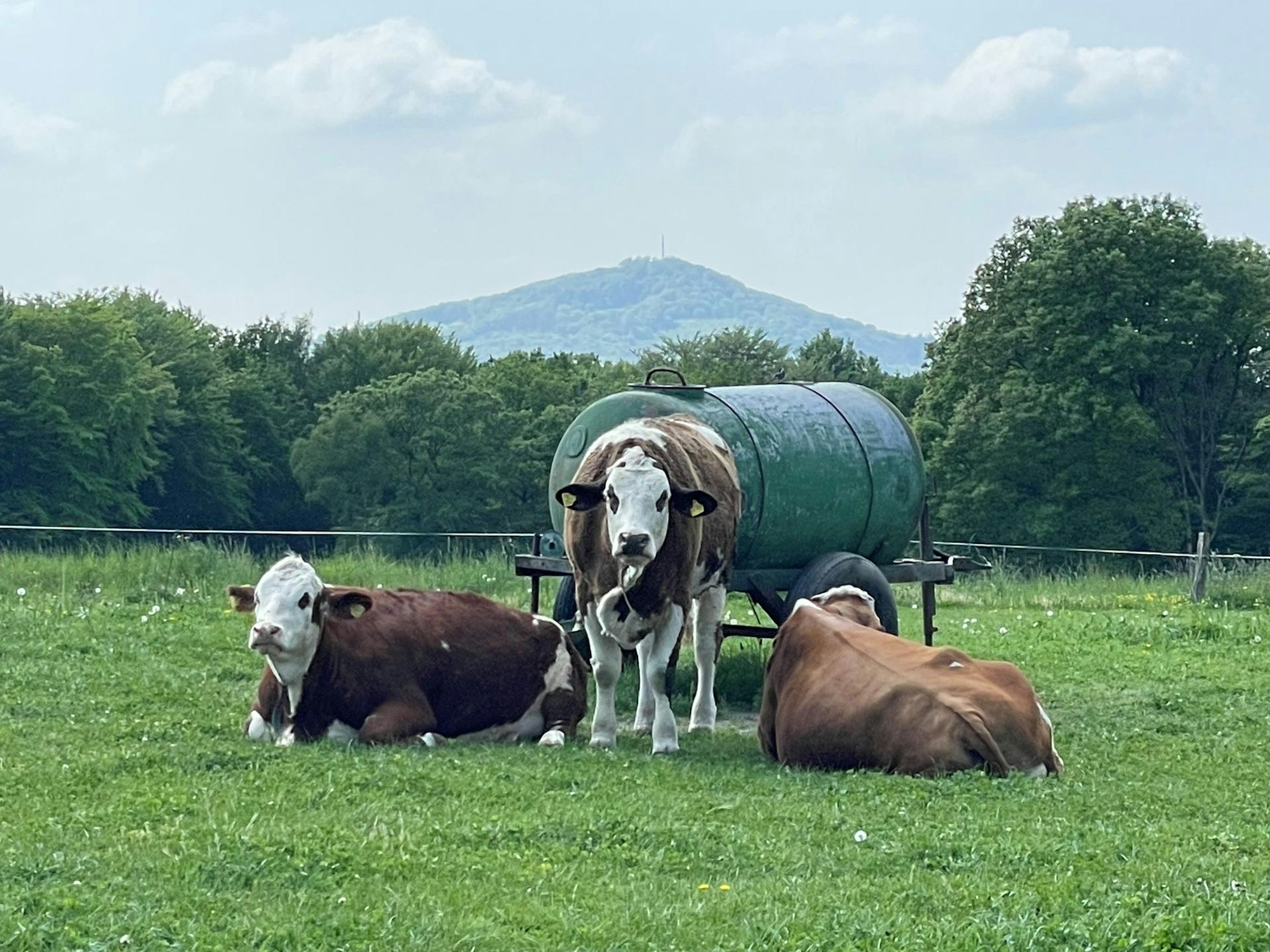 Neuer Inhalt