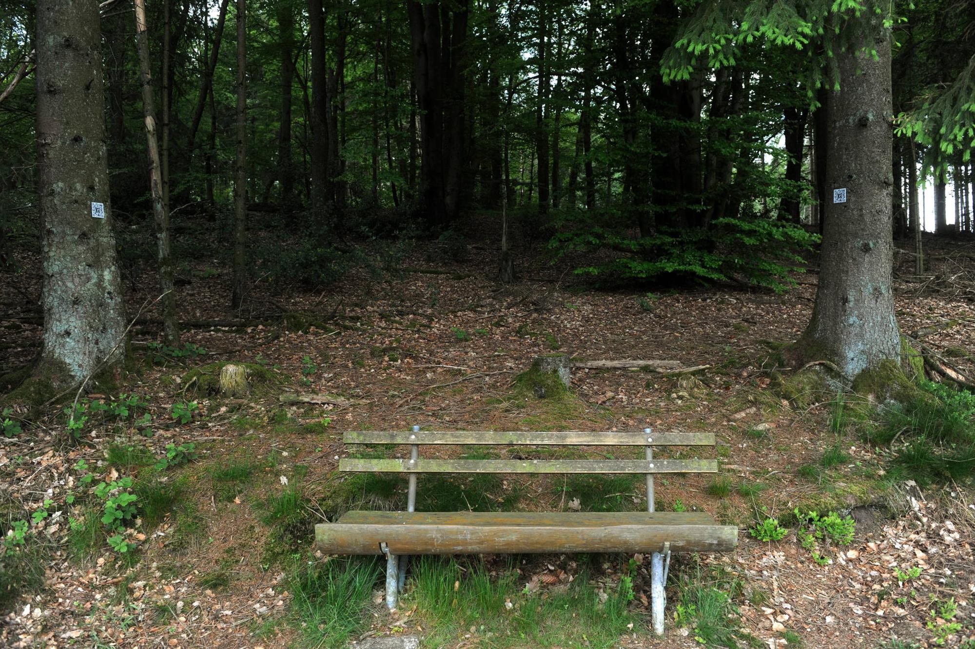 290519Rheinland-Lutherweg11