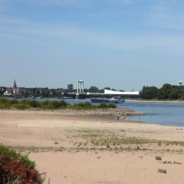 niedrigwasserrhein