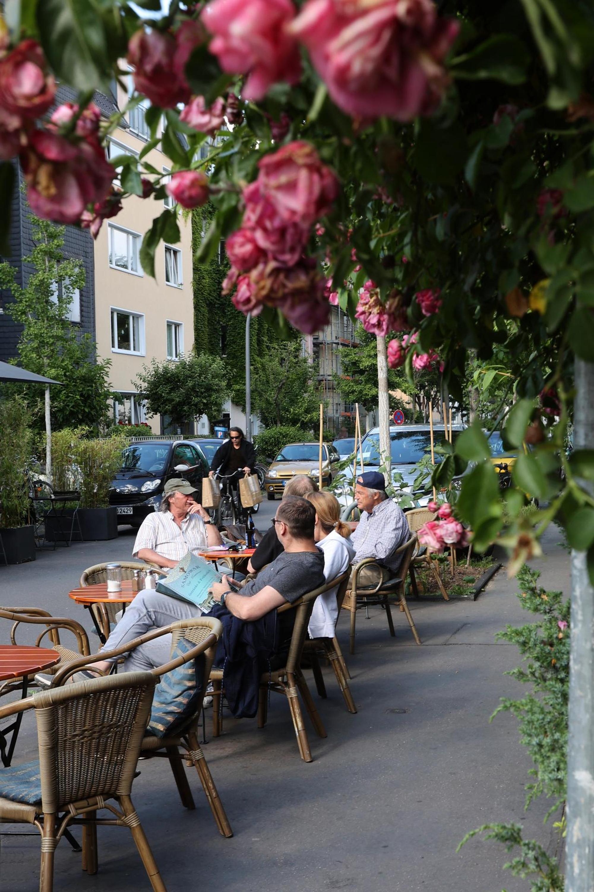SülzCafe