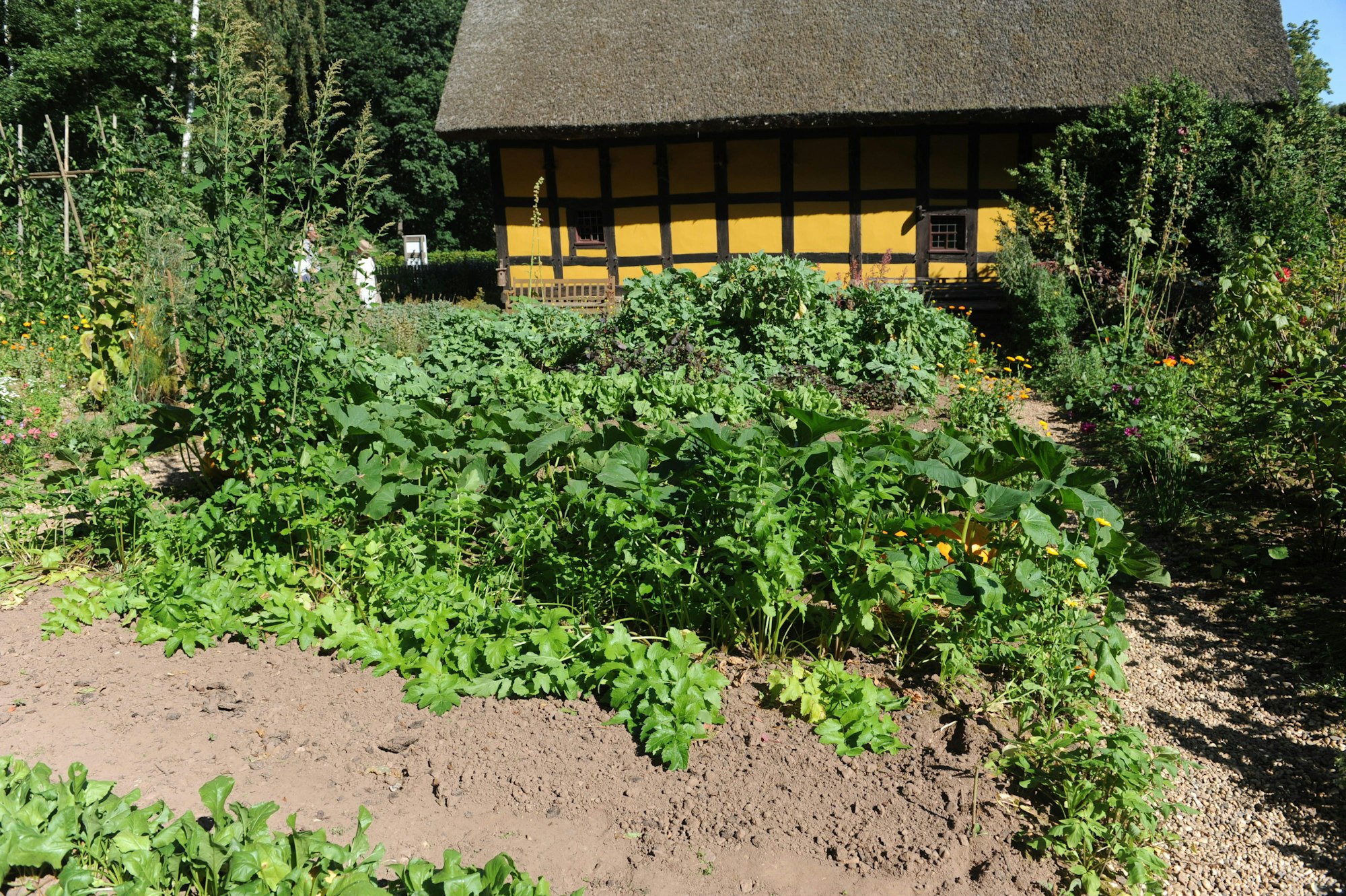 080916Freilichtmuseum-Kommern47