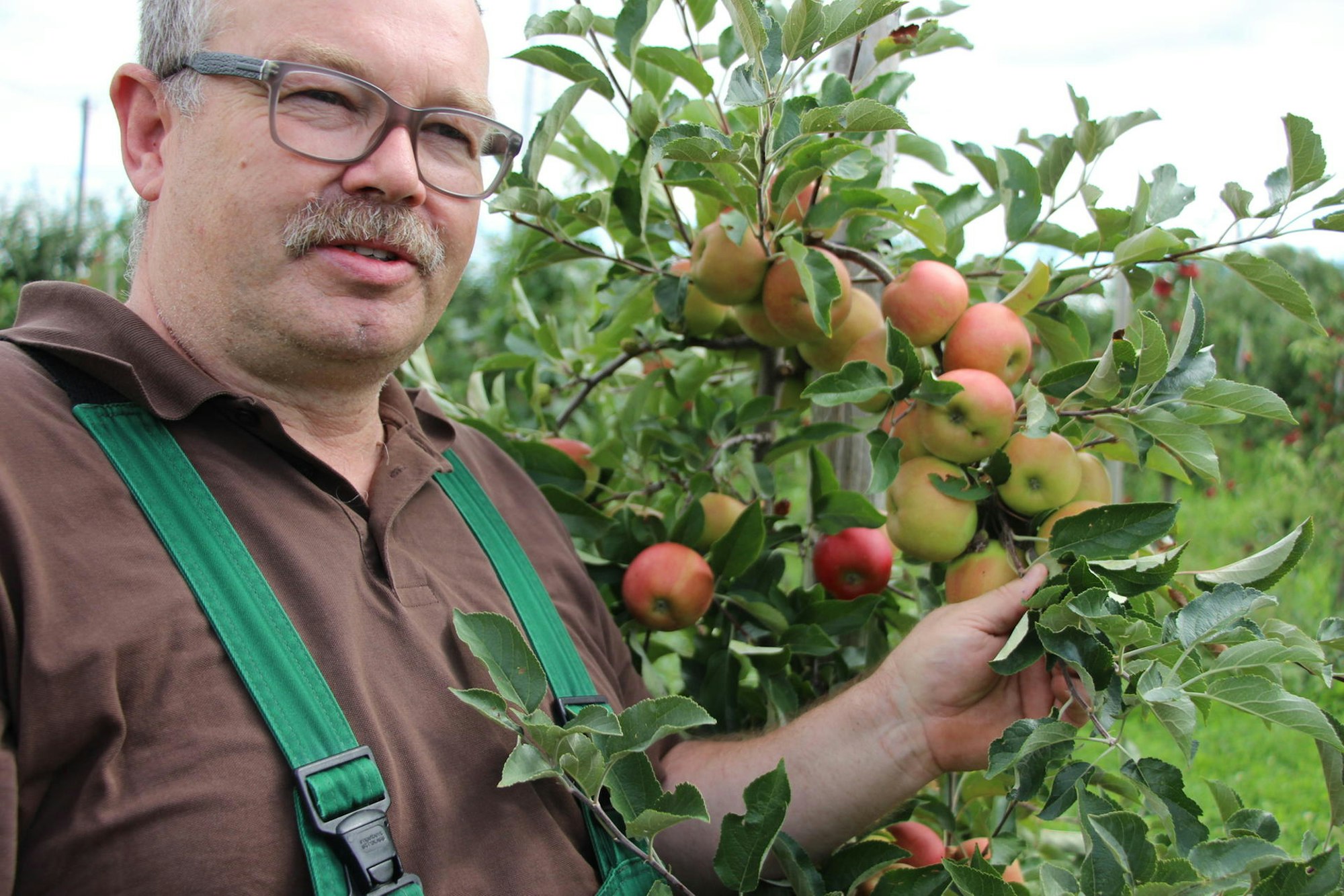 Obstplantage2