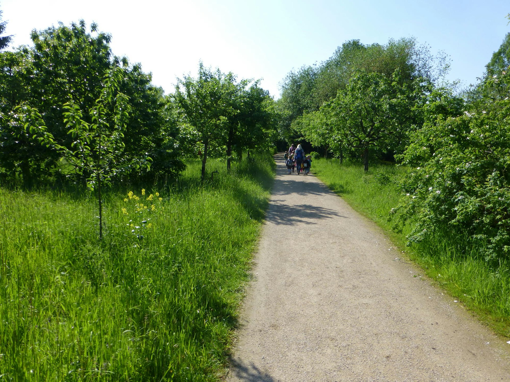 Finkensgarten credit Finkensgarten e.V.