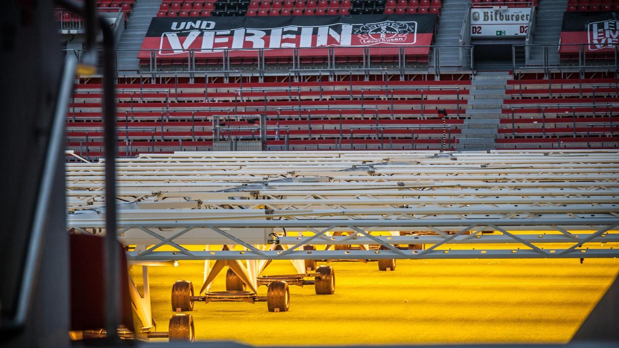 Die Gestelle mit den Wachstumslampen stehen auf dem Rasen, der golden beleuchtet wird.
