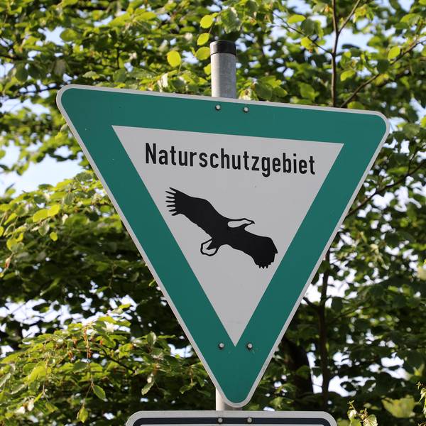 Neuer Inhalt