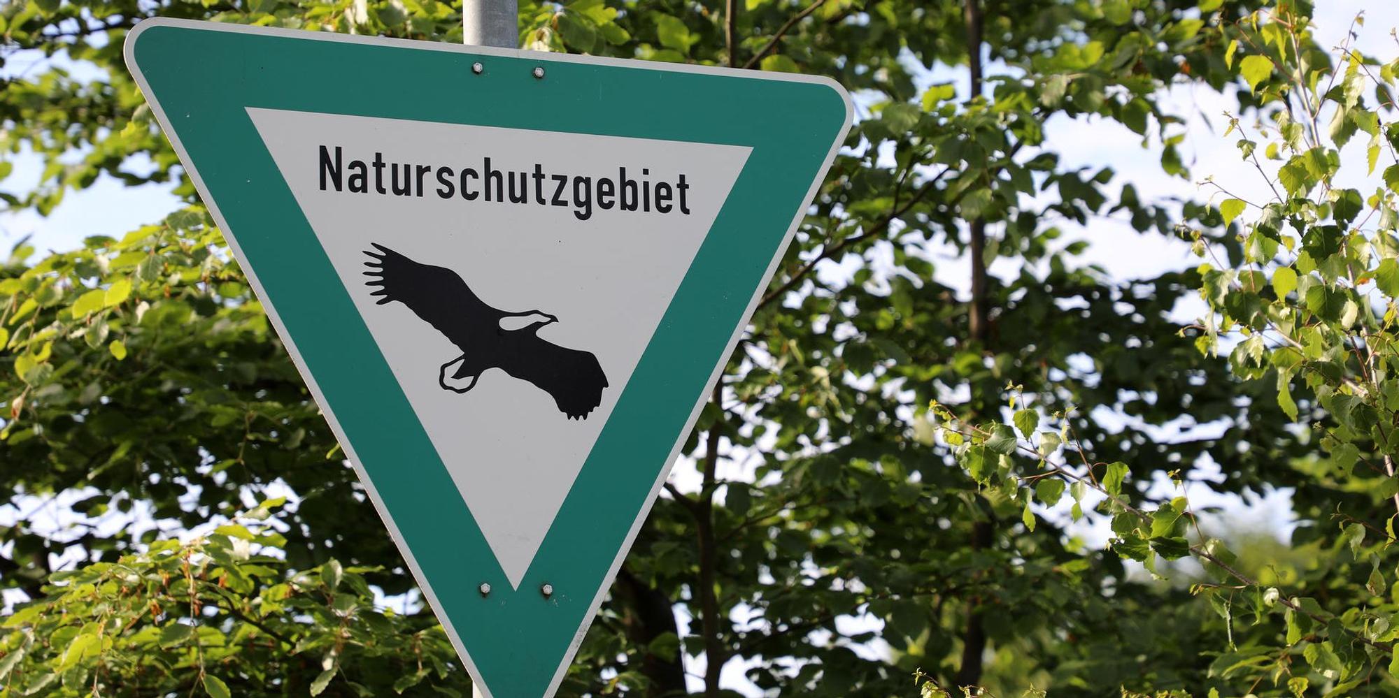 Neuer Inhalt