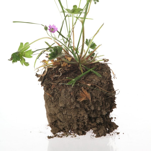 GettyImages-170615452