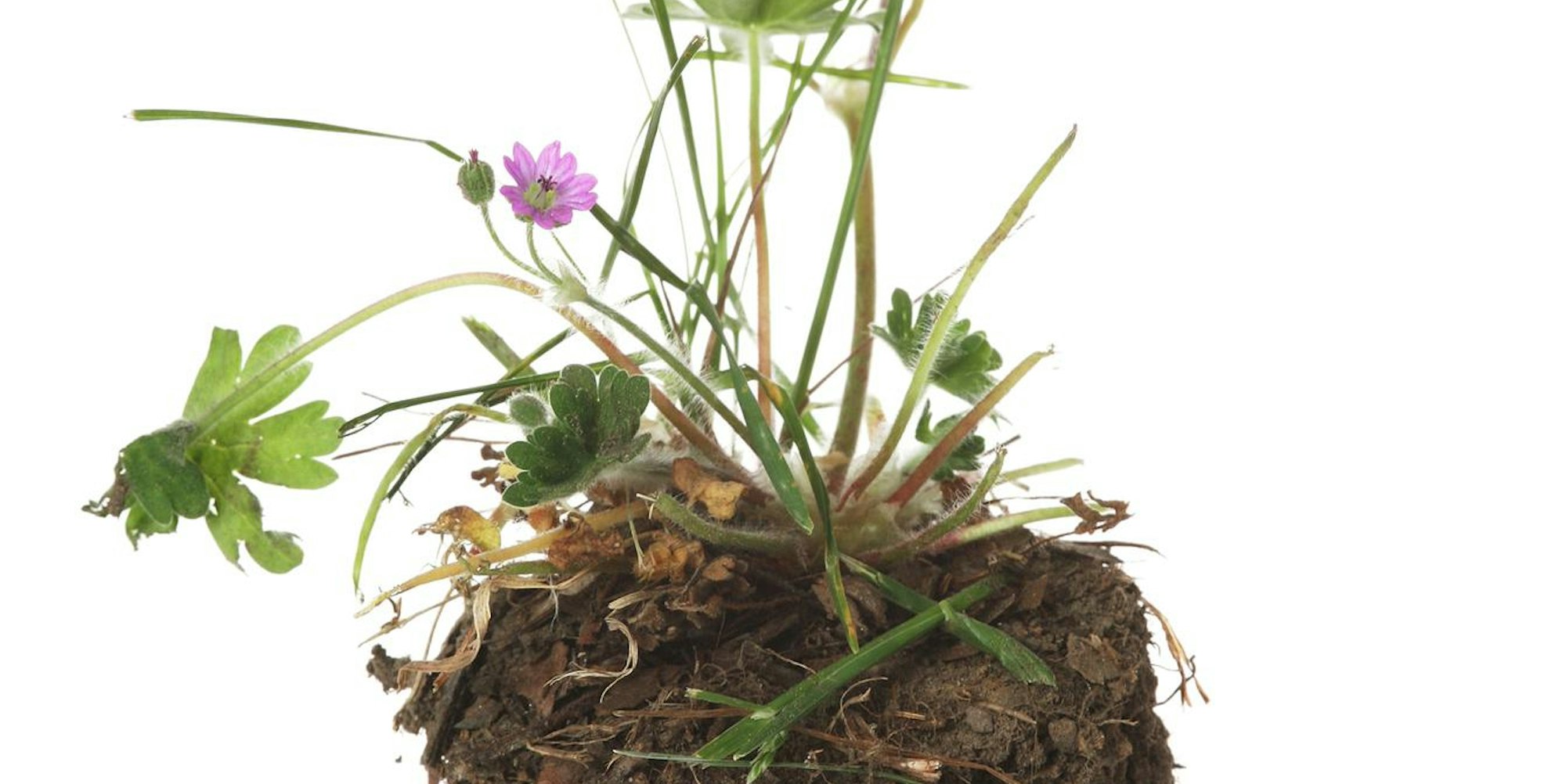 GettyImages-170615452