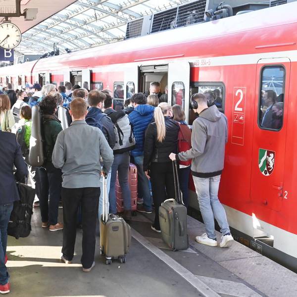 hbf1