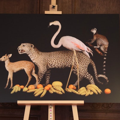 OB Schlossausstellung