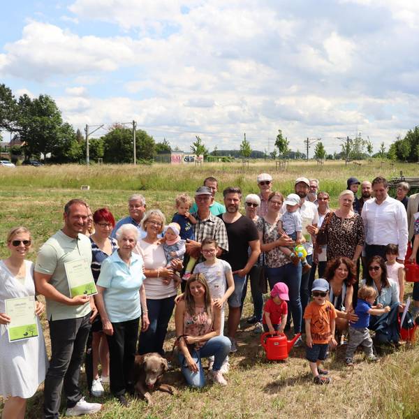 Wesseling-Babypark-Bäume_001