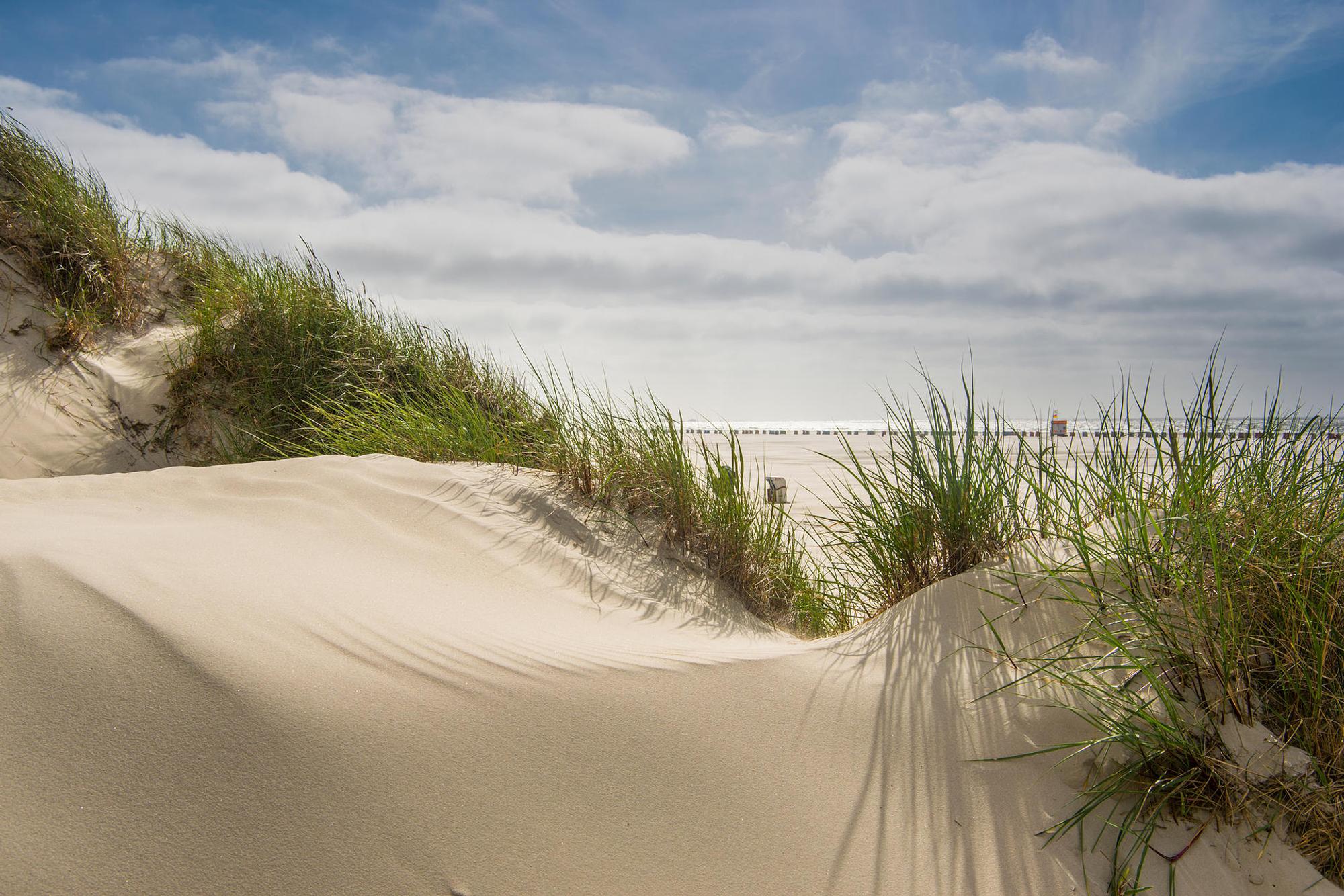 amrum