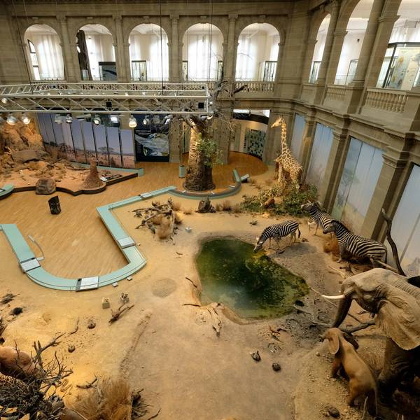Museum König Grönert