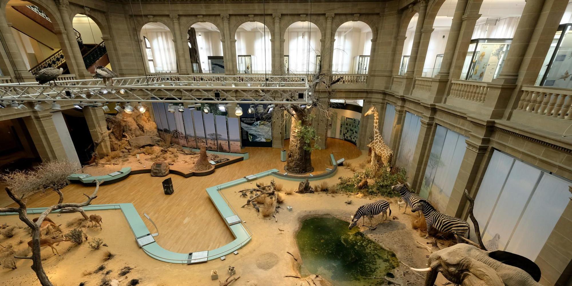 Museum König Grönert