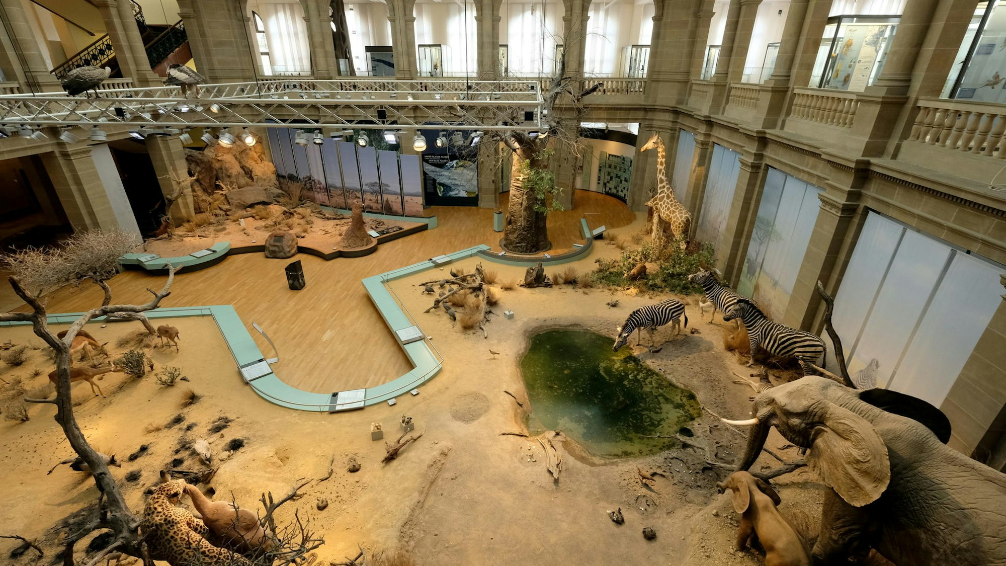 Blick von oben auf eine künstliche Landschaft mit Giraffen, Zebras und Elefanten