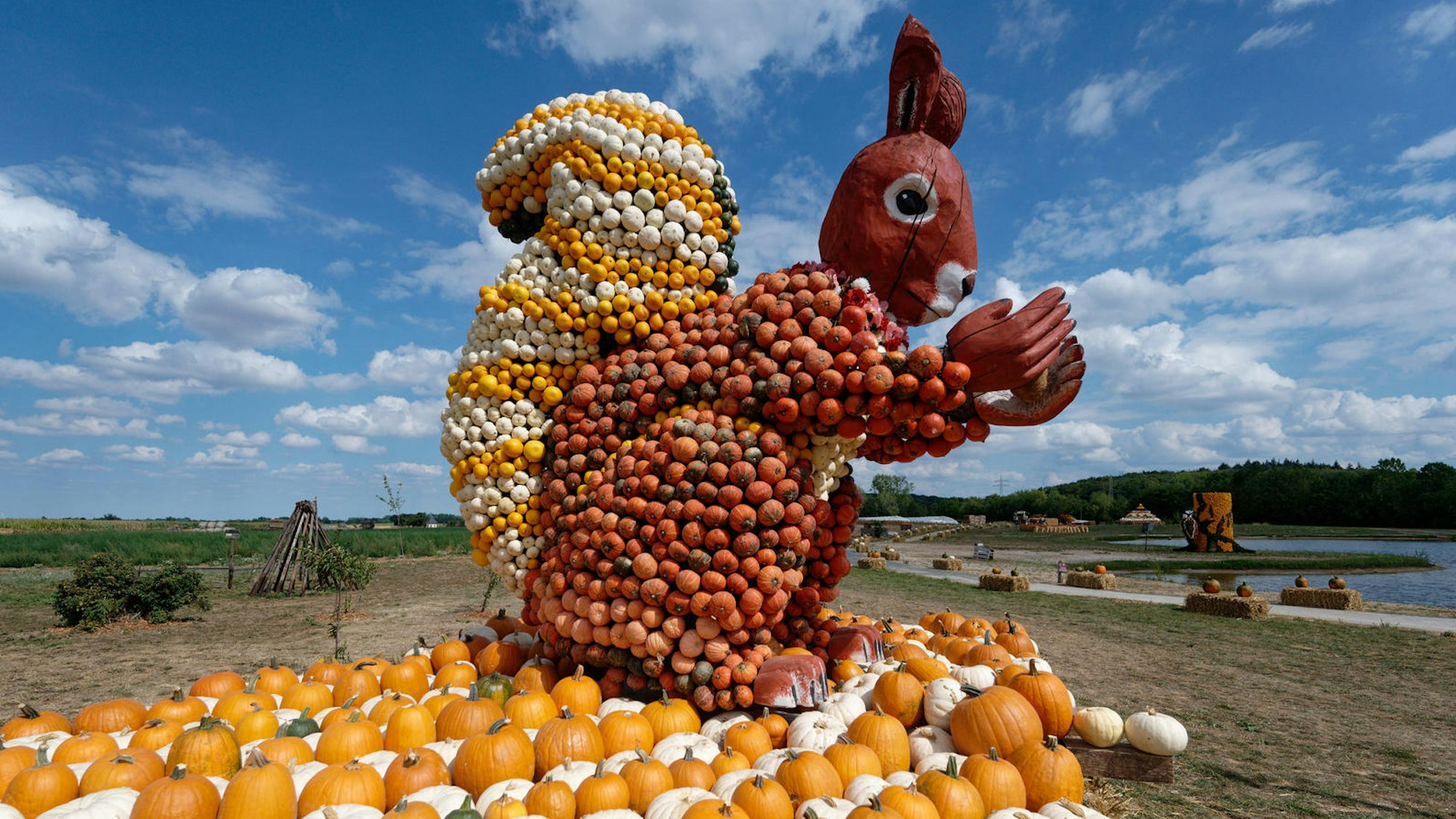 Impression von der Kürbisschau auf dem Krewelshof.