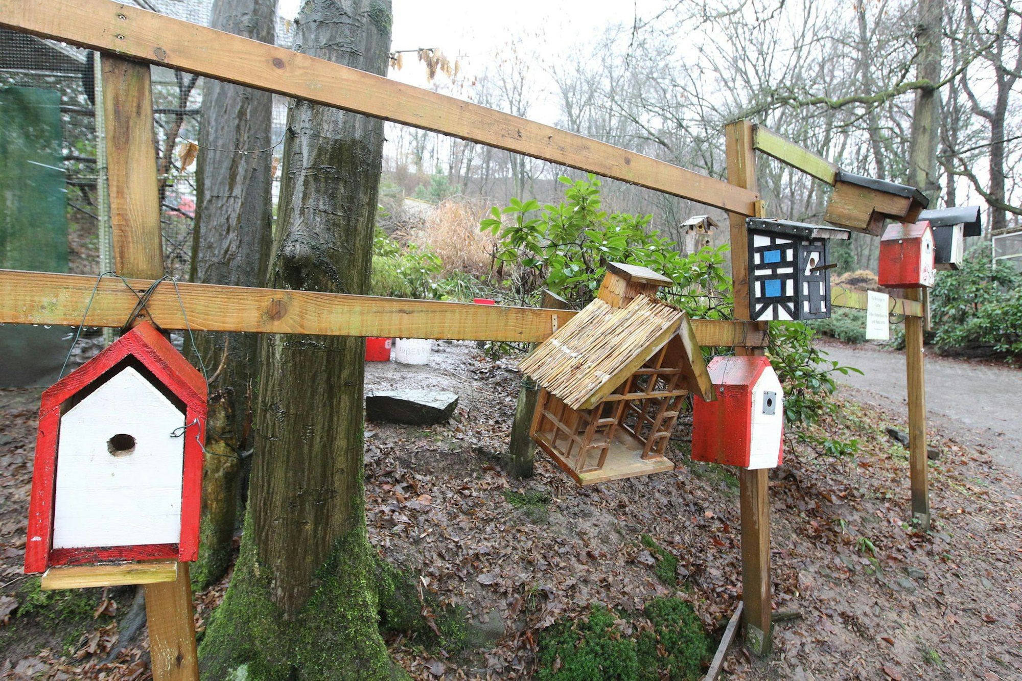 Neuer Inhalt (1)