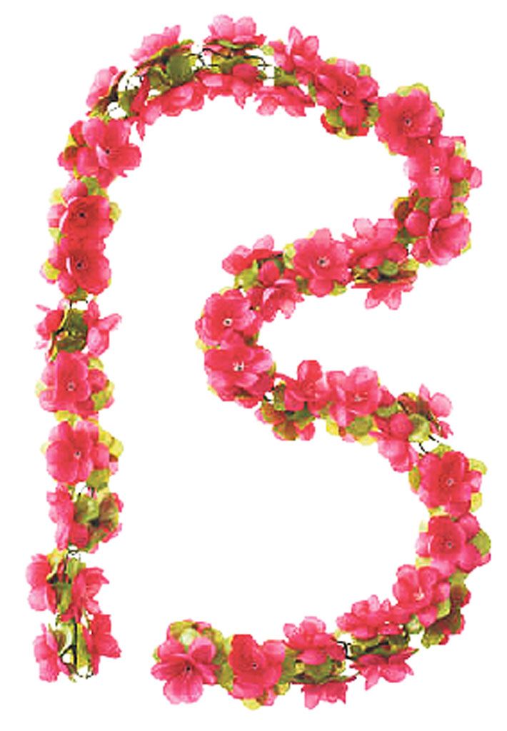 Blume_Neu