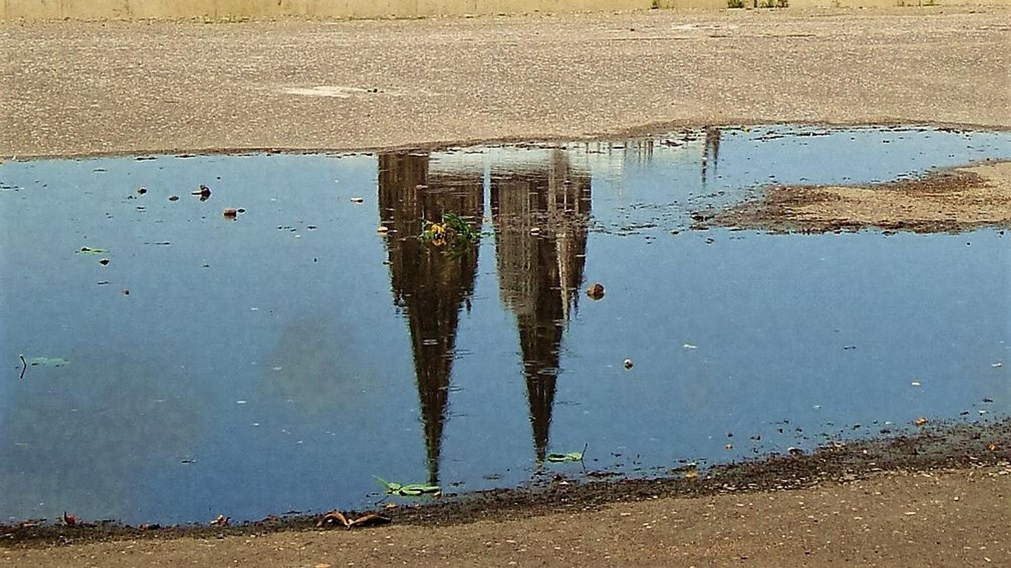 Der Kölner Dom im Wasser