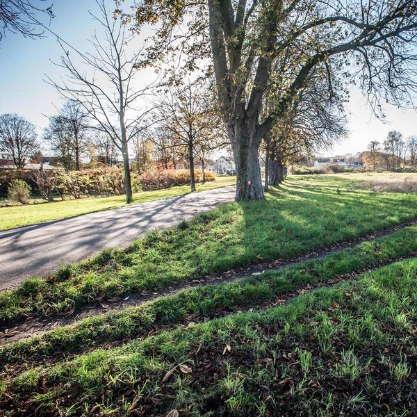 kastanienallee_verlaengerung_leverkusen_ALF_3186