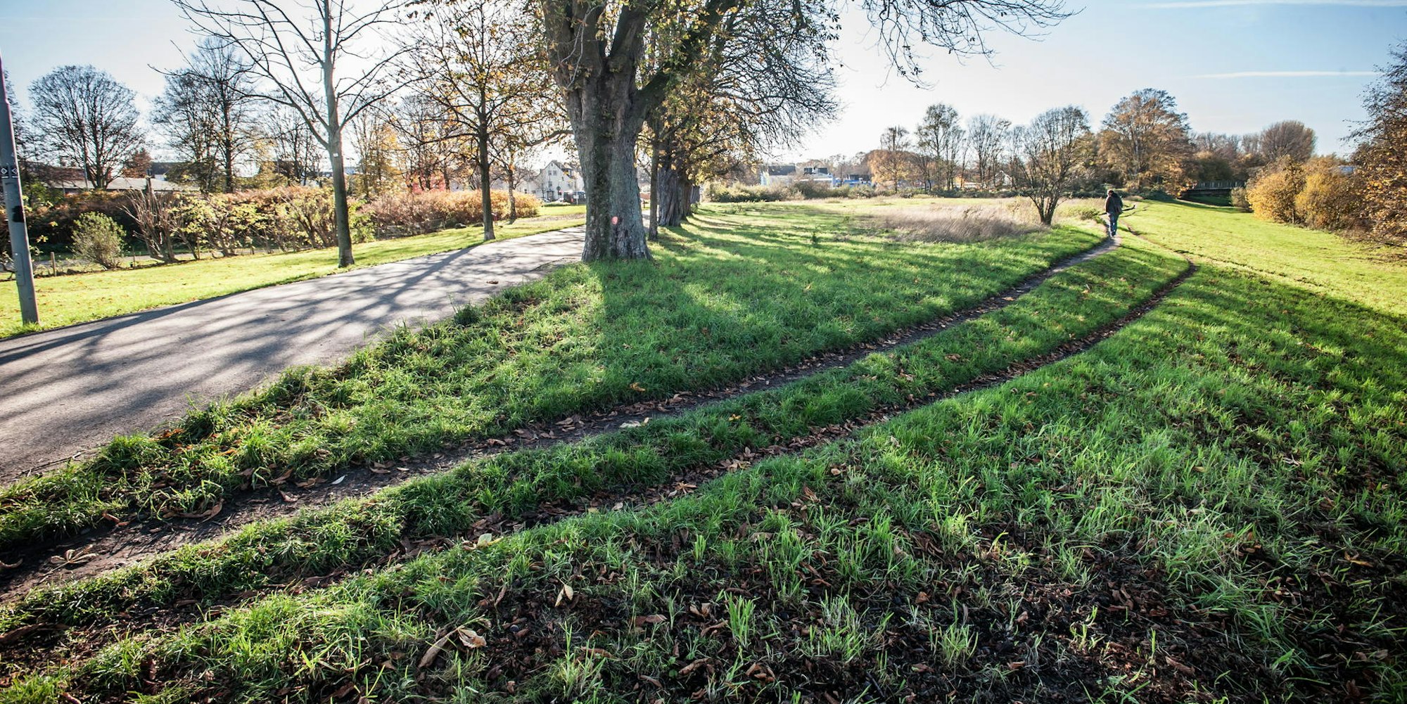 kastanienallee_verlaengerung_leverkusen_ALF_3186