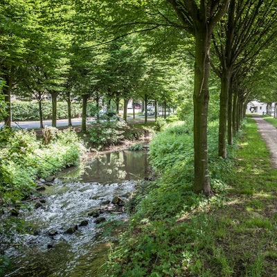 wiembachallee_RLE_Leverkusen04062021ALF_2492