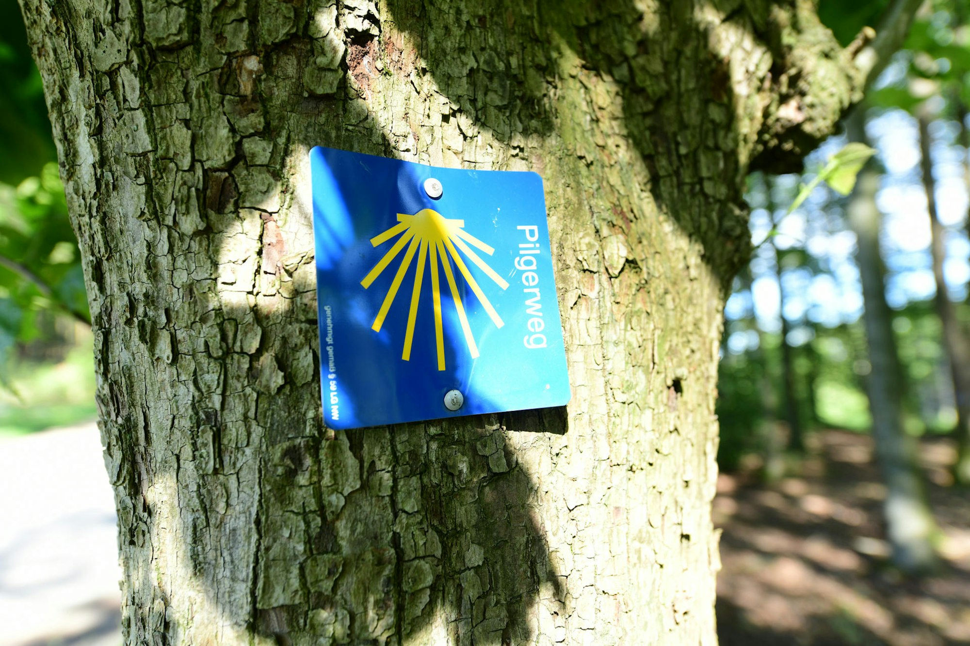 Promiwandern Willibert Pauels Jakobsweg