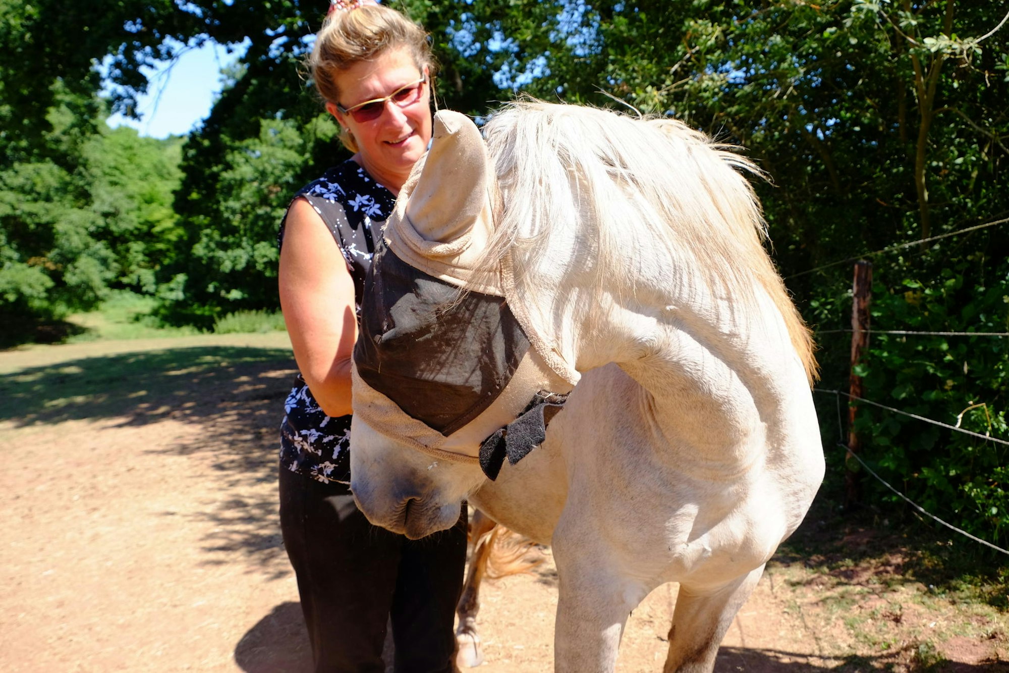 Camargue-Pferde 3