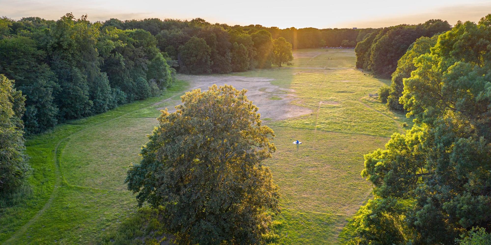 Gleueler Wiese 150920