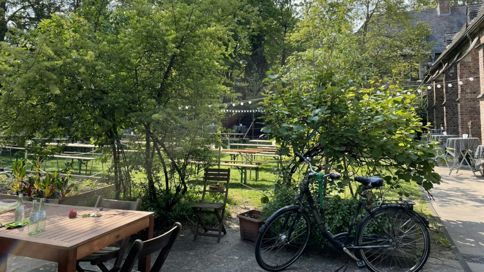 Der Weingarten in der Südstadt im Hof der Kartäuserkirche