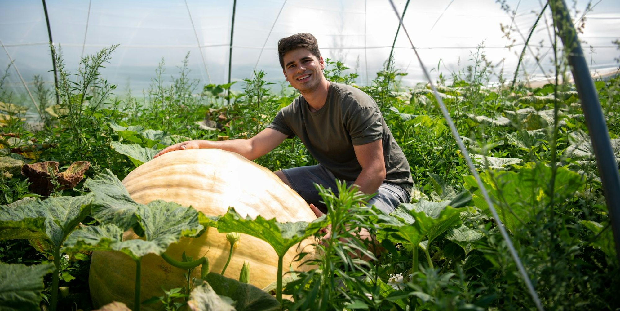 Max Bieger und sein Riesenkürbis