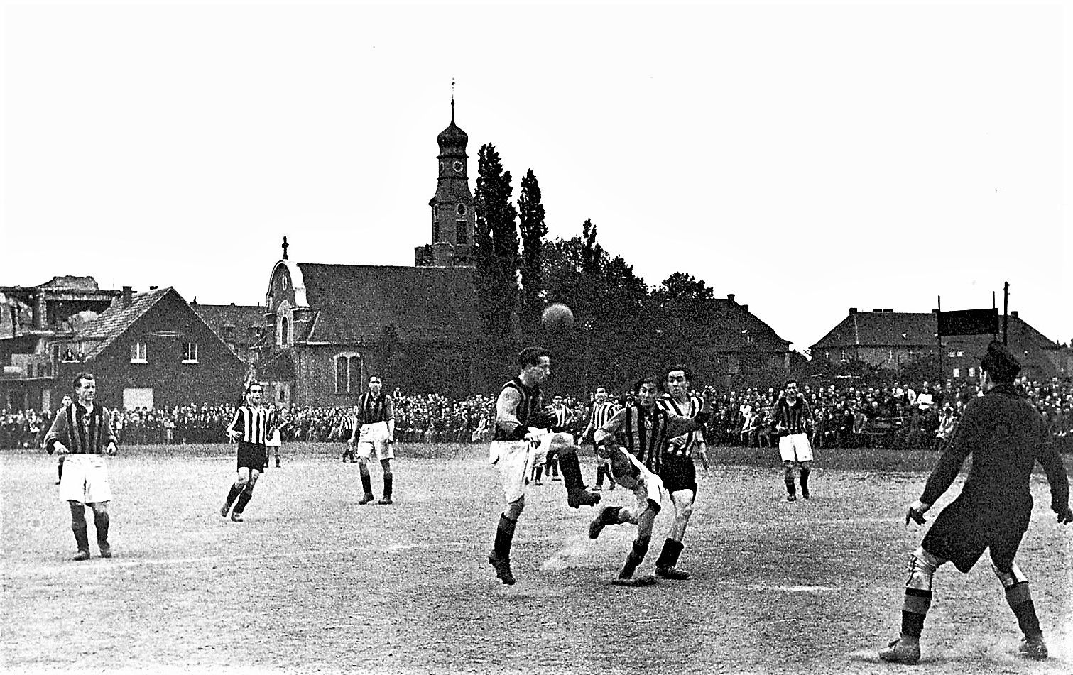 Neuer Inhalt (3)