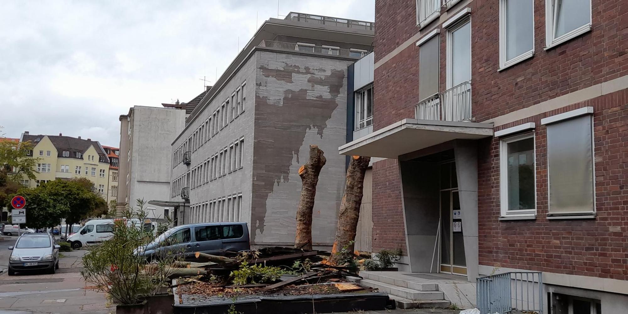 Baumfällungen Zurich3