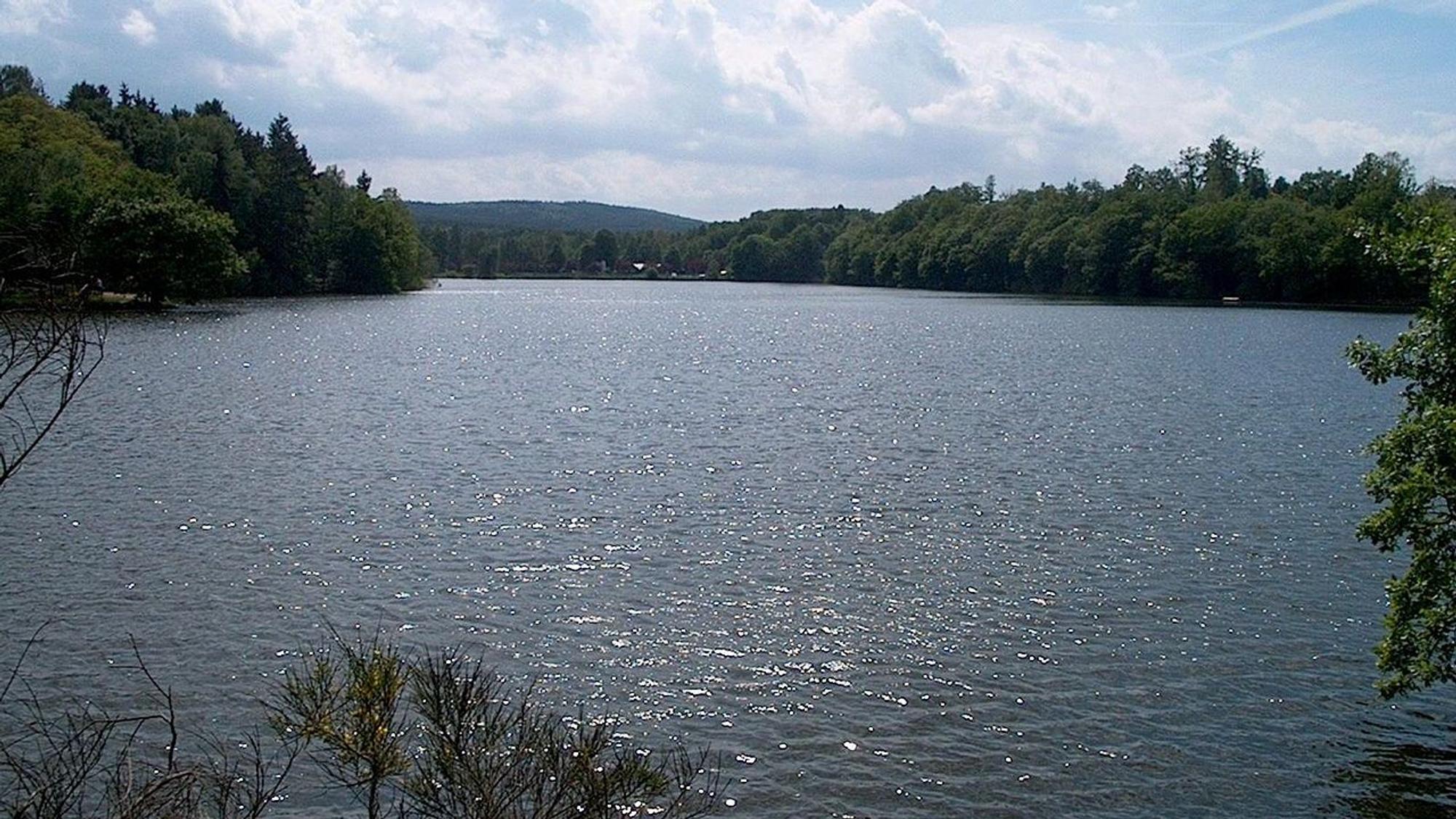 Talsperre, die von Wald umgeben ist.
