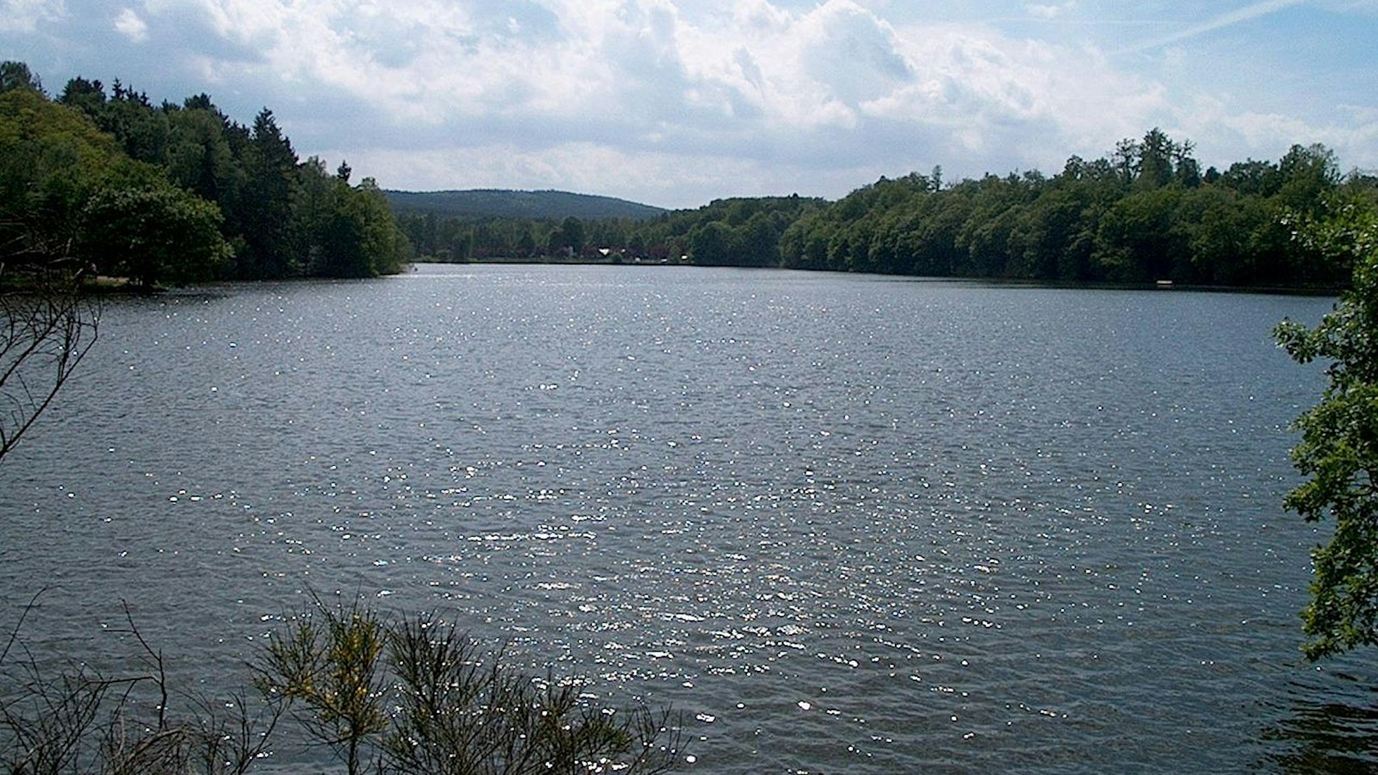 Talsperre, die von Wald umgeben ist