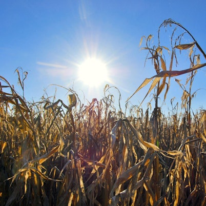 Symbolbild Klimaschutz dpa 151019