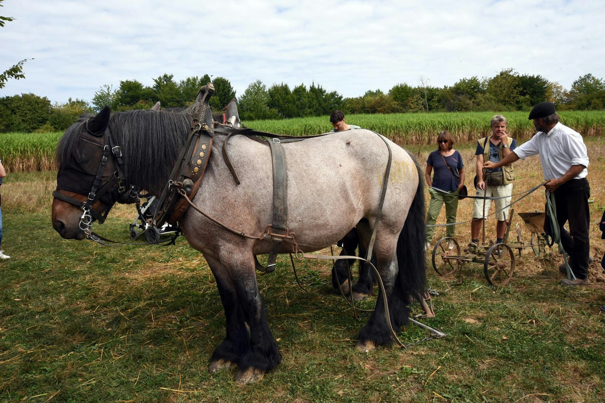20220828_ds_FreilichtmuseumLindlar_Bauernmarkt19