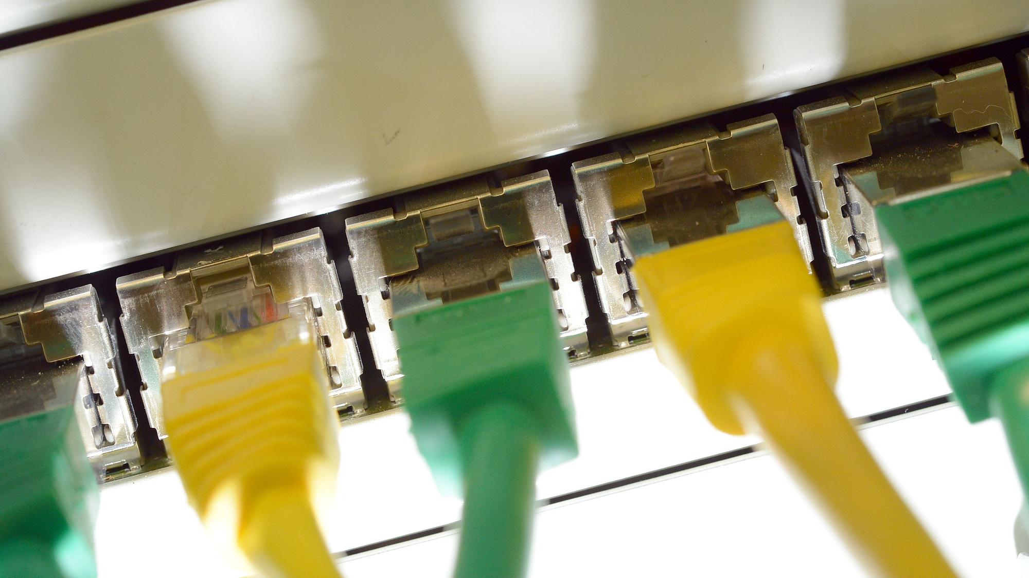 Internet-Anschluss an einem Rechner.